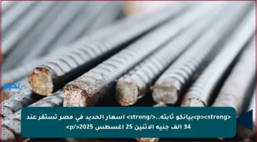 <p><strong>بيانكو ثابتة..</strong> أسعار الحديد في مصر تستقر عند 34 ألف جنيه الاثنين 25 أغسطس 2025</p>